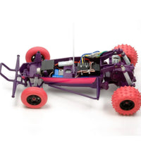 Tamiya The Hornet RC Buggy 1/10 Electric 2WD Jun Watanabe Edition 58527