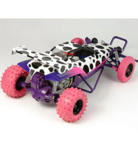 Tamiya The Hornet RC Buggy 1/10 Electric 2WD Jun Watanabe Edition 58527