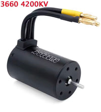 Surpass Hobby 3660 Brushless Motor 3.175mm Shaft 3100kv & 4200kv Rc Car Rc Boat 1:10 2-3s