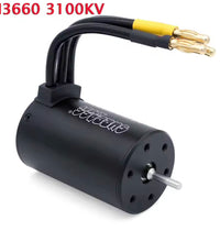 Surpass Hobby 3660 Brushless Motor 3.175mm Shaft 3100kv & 4200kv Rc Car Rc Boat 1:10 2-3s